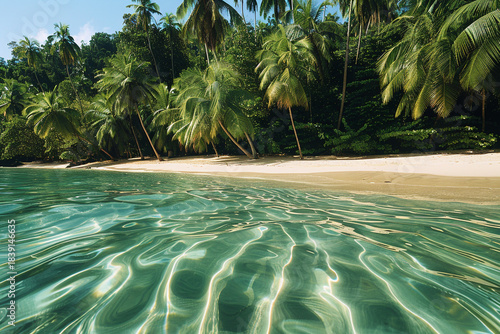 Exotic Island Beach with Lush Palm Tree Backdrop