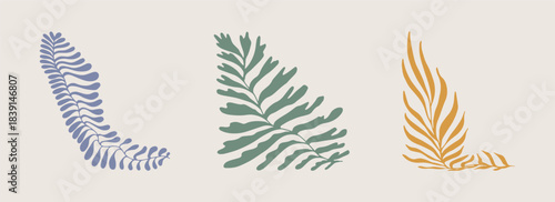 Abstract floral vector set. Flower illustrations featuring stylized botanical leaves with organic wavy shapes. Modern hand drawn tropical foliage silhouettes perfect for patterns, branding, packaging