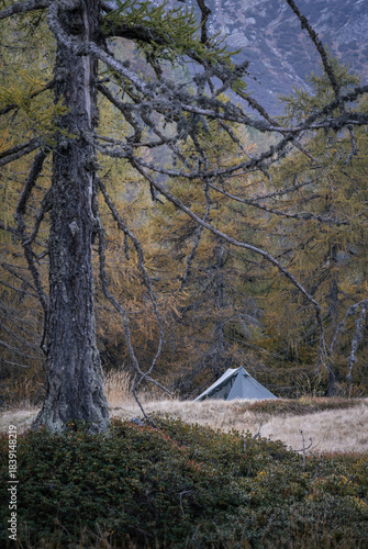 Tent pitched in a forest in Ticino, Switzerland. Outdoor pursuit concept.