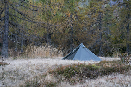 Tent pitched in a forest in Ticino, Switzerland. Outdoor pursuit concept.