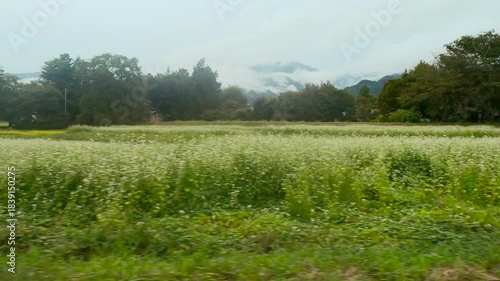 車の窓から見える綺麗な景色