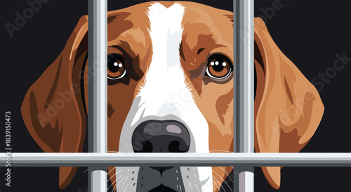 A sad-looking brown and white dog with soulful eyes gazes from behind the gray bars of a cage, symbolizing animal captivity.