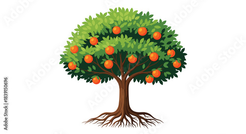 A cartoon illustration of a healthy orange tree with bright green leaves, ripe orange fruits, a sturdy trunk, and visible roots.