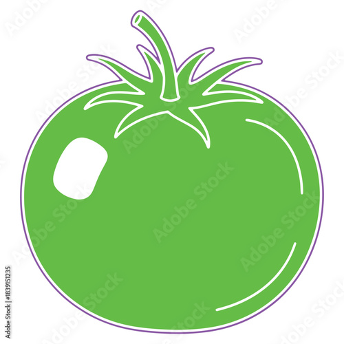 Vibrant green tomato vector illustration with a stylish purple outline perfect for healthy foodrelated designs cooking recipes nutrition blogs and fresh produce graphics