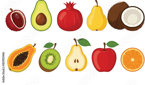 A colorful vector collection of diverse exotic and tropical fruits, including lychee, avocado, pomegranate, pear, coconut, kiwi, papaya, and slices of orange and apple