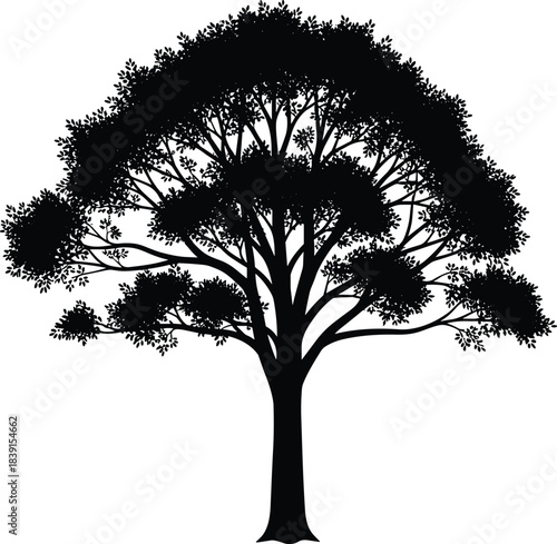 Tree silhouette, botanical form, black vector art, natural structure, dense foliage, environmental theme, outdoor design, leafy branches, symmetrical canopy
