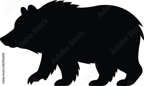 Black bear silhouette walking profile isolated on white background