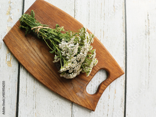 Medicinal plant yarrow on old wooden cutting board