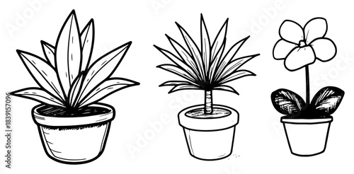 Hand drawn potted plants set vector sketch style houseplants collection for home decor