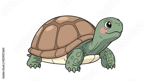 vector illustration of a turtle
