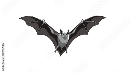 bat vector