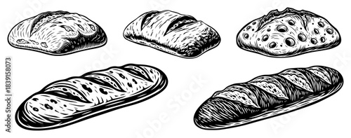 Set of hand drawn bakery bread loaves including baguette and sourdough woodcut style vector sketches