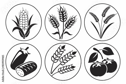Agriculture crop symbols icon set for farming and harvest