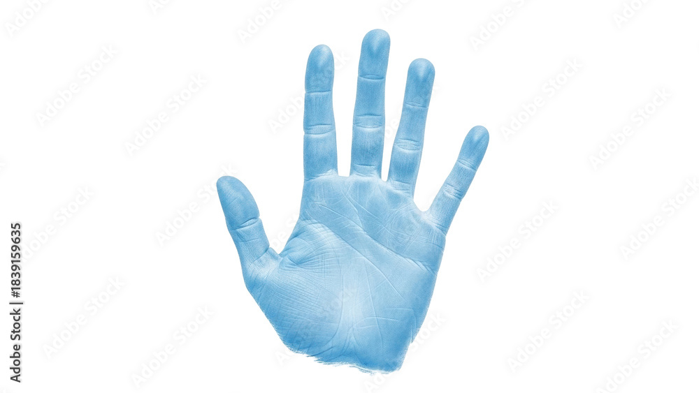 Obraz premium Isolated hand making stop gesture or sign, pale blue, palm up, human extremity, no background