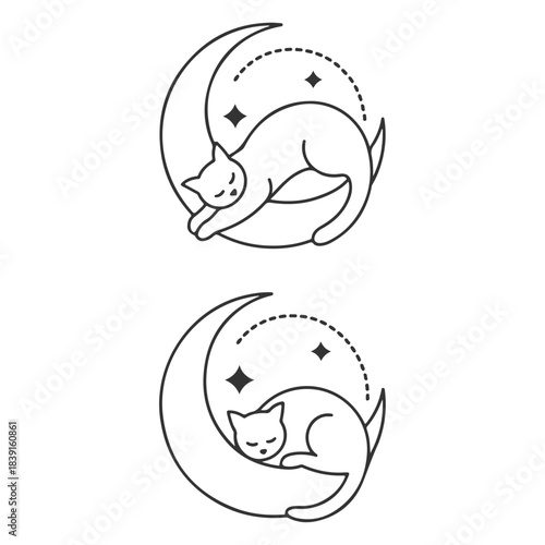 Sleeping Cat On Crescent Moon