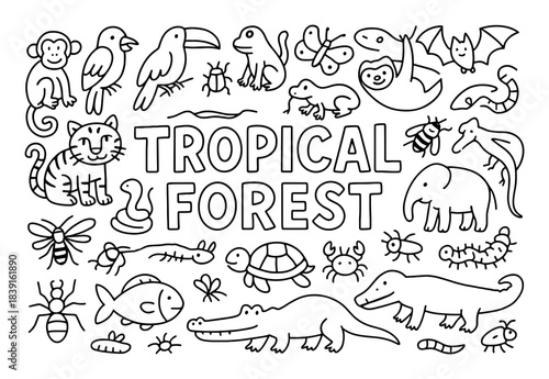 Tropical Forest Doodle