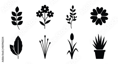 Simple black and white illustrations depicting various floral and plant elements