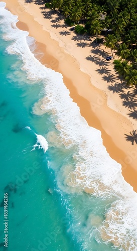 Tropical Beach Paradise Aerial View.