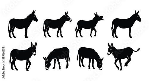 Silhouette collection of donkeys in various poses and perspectives
