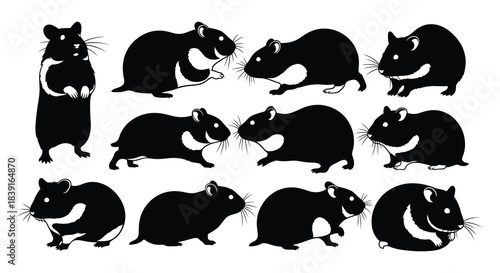 Collection of charming hamster silhouettes in various poses and orientations
