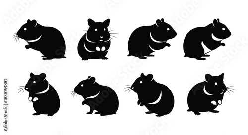 Collection of charming hamster silhouettes in various poses and orientations