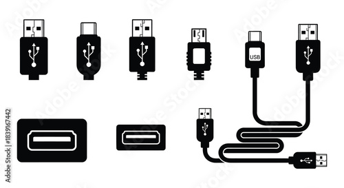 A collection of different usb connector types and a cable, depicted in a simple style.