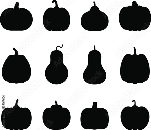 Collection of silhouetted pumpkins and gourds on a white background