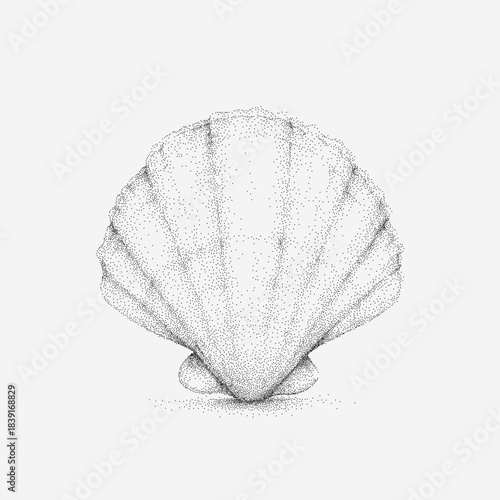 Pencil drawing of shell with grainy texture, faded scratches, stippled dust and faint stains scattered over rough vintage aged paper background.