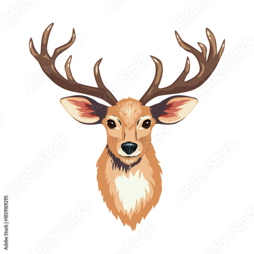 Colored deer head isolated on white. Vector illustration.