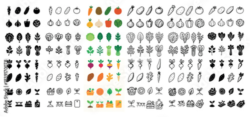 Colorful and black-and-white vegetable icons collection