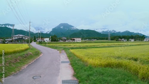 車の窓から見える綺麗な景色
