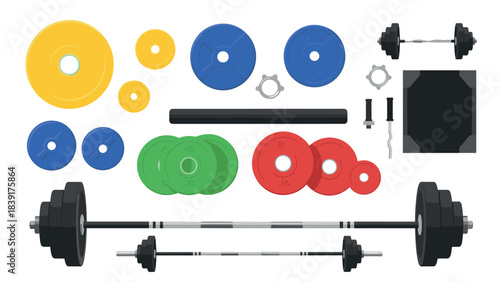 Colorful gym equipment collection with barbells and weight plates