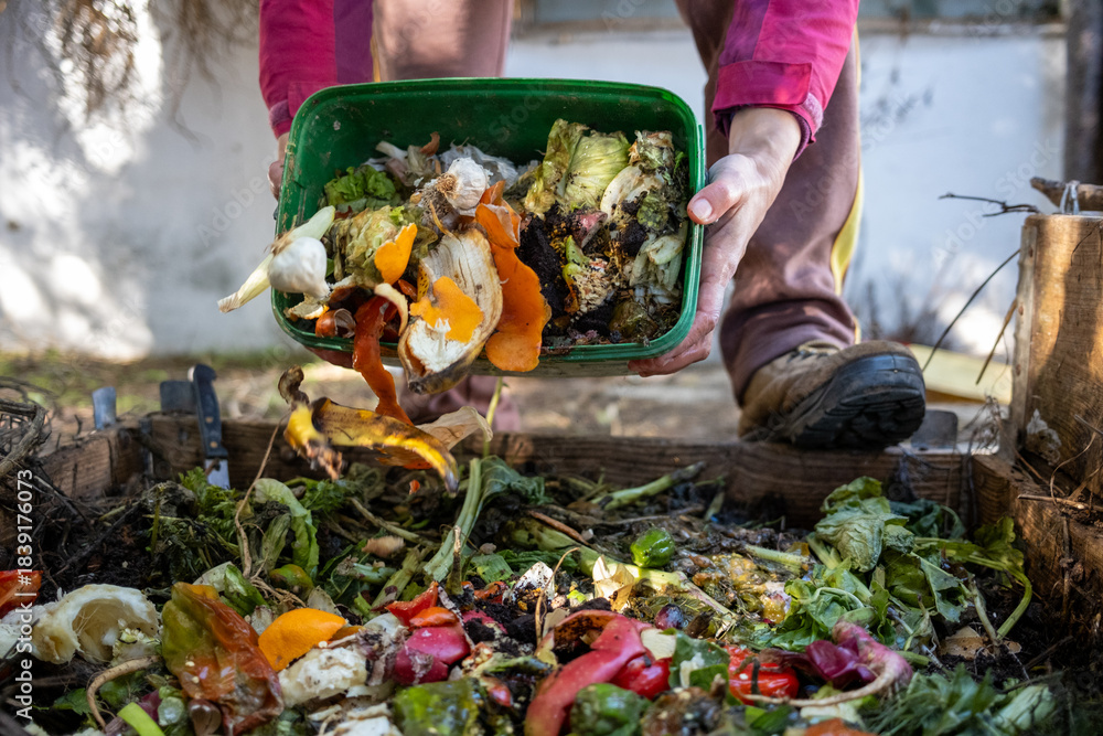 Obraz premium Person's hands tipping a container of kitchen waste into a garden compost heap