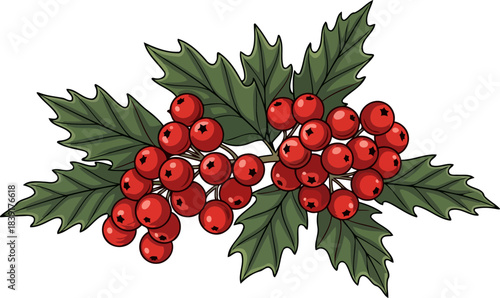 crimson jewels of winter a timeless emblem of festive cheer, isolated on transparent background