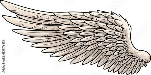 ethereal ascent elegant wing illustration for spiritual journeys and boundless possibilities, isolated on transparent background