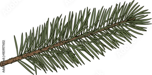 natures respite a fresh evergreen bough capturing winters pristine, organic charm, isolated on transparent background