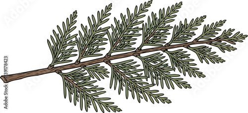 verdant resilience an illustrated conifer branch, embodying lifes unfolding green journey, isolated on transparent background