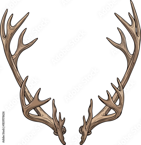 wilderness echo majestic antlers symbolizing natures untamed spirit and rustic elegance, isolated on transparent background
