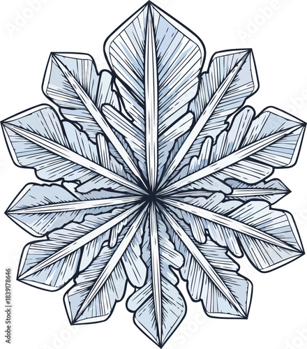 winters crystallized whispers natures intricate artistry unveiled in ice, isolated on transparent background