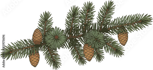 winters verdant promise bringing enduring natural beauty and festive charm home, isolated on transparent background