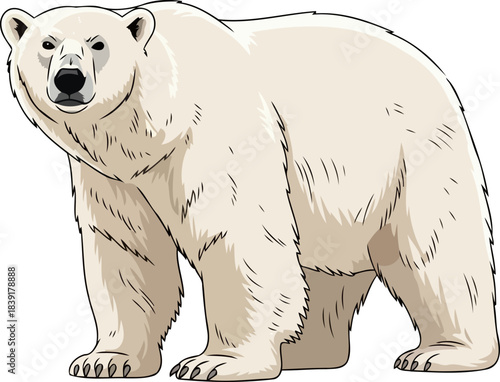 arctic apex predator majestic polar bear stands guard over northern realms, isolated on transparent background