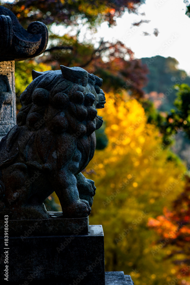 Obraz premium 鎌倉251128 建長寺11 半僧坊&紅葉&黄葉
