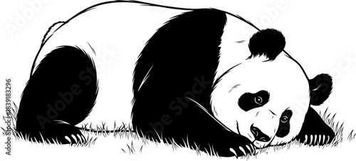 bamboo dreamer resting in monochrome harmony, embracing peaceful stillness, isolated on transparent background