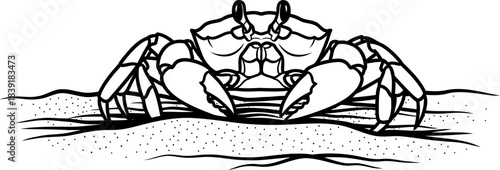 coastal crusader resilient spirit of the shore in stylized minimalist art, isolated on transparent background