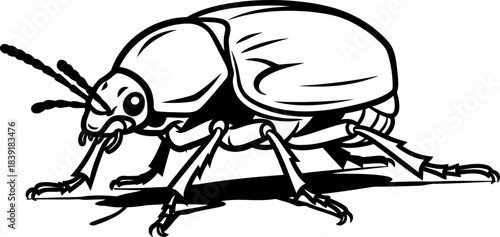 chitinous charm a stylized ode to the unsung heroes of ecosystems, isolated on transparent background