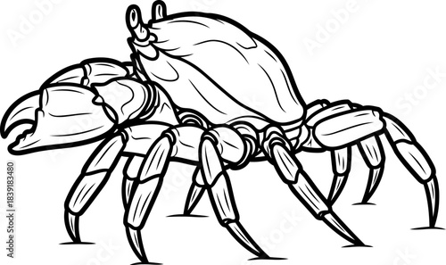 coastal command the oceans enduring grip, a symbol of adaptability, isolated on transparent background