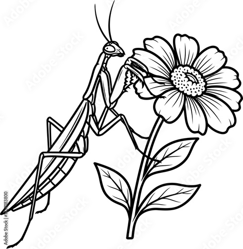 delicate hunters haven a mantis blends with floral beauty, isolated on transparent background