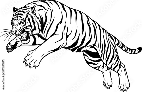 dynamic stripes, untamed power the apex predators decisive pounce, isolated on transparent background