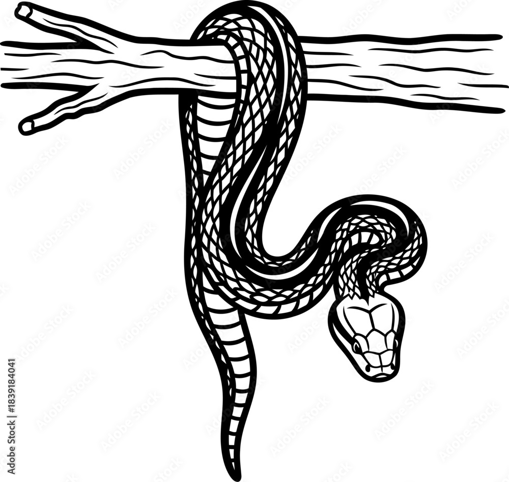 Fototapeta premium entwined vigil the wilds silent power, patiently coiled in striking silhouette, isolated on transparent background