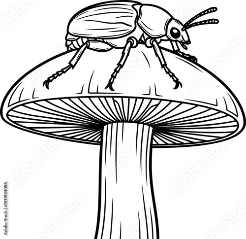 forest floors sentinel unveiling miniature life in delicate balance, isolated on transparent background